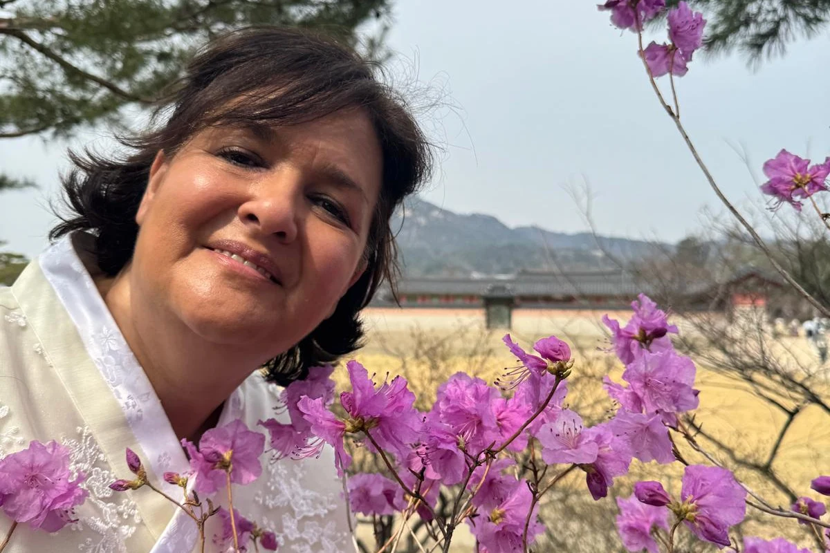 Zwischen Kirschblüten und Geschichte – Wie Korea mein Herz eroberte